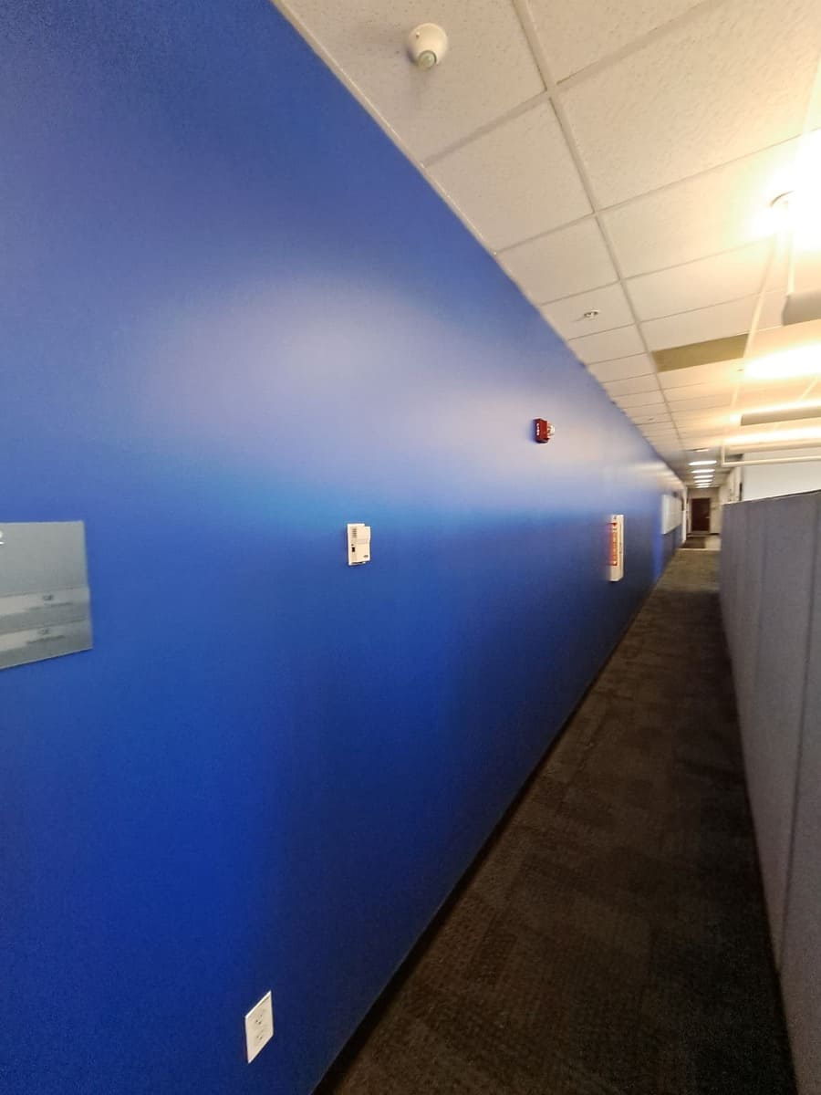 WhatsApp Image 2026-02-14 at 3.36.46 PM (2)