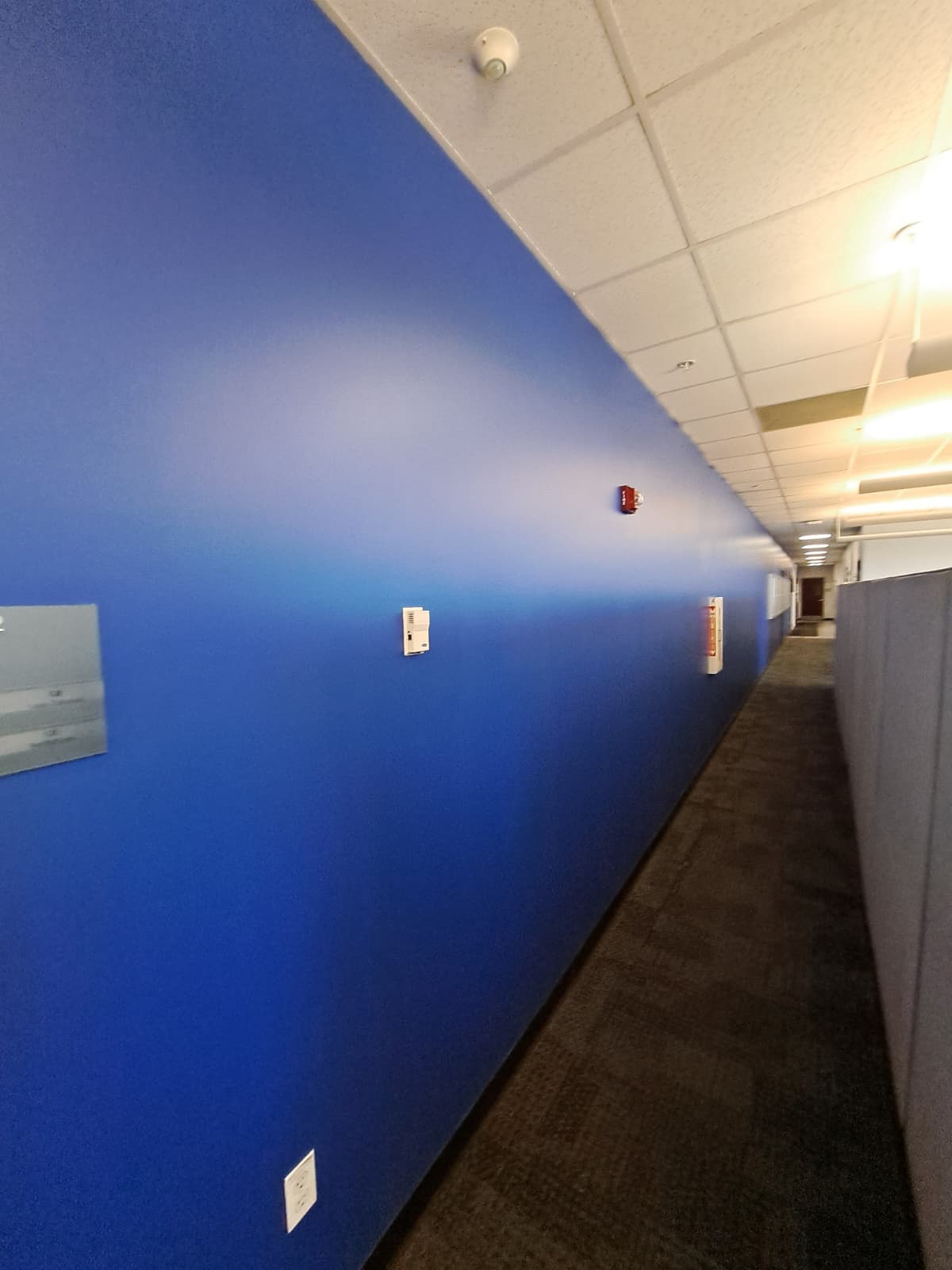 WhatsApp Image 2026-02-14 at 3.36.46 PM (2)