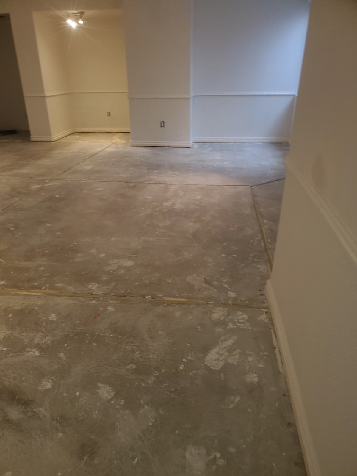 WhatsApp Image 2026-02-14 at 3.36.46 PM (5)