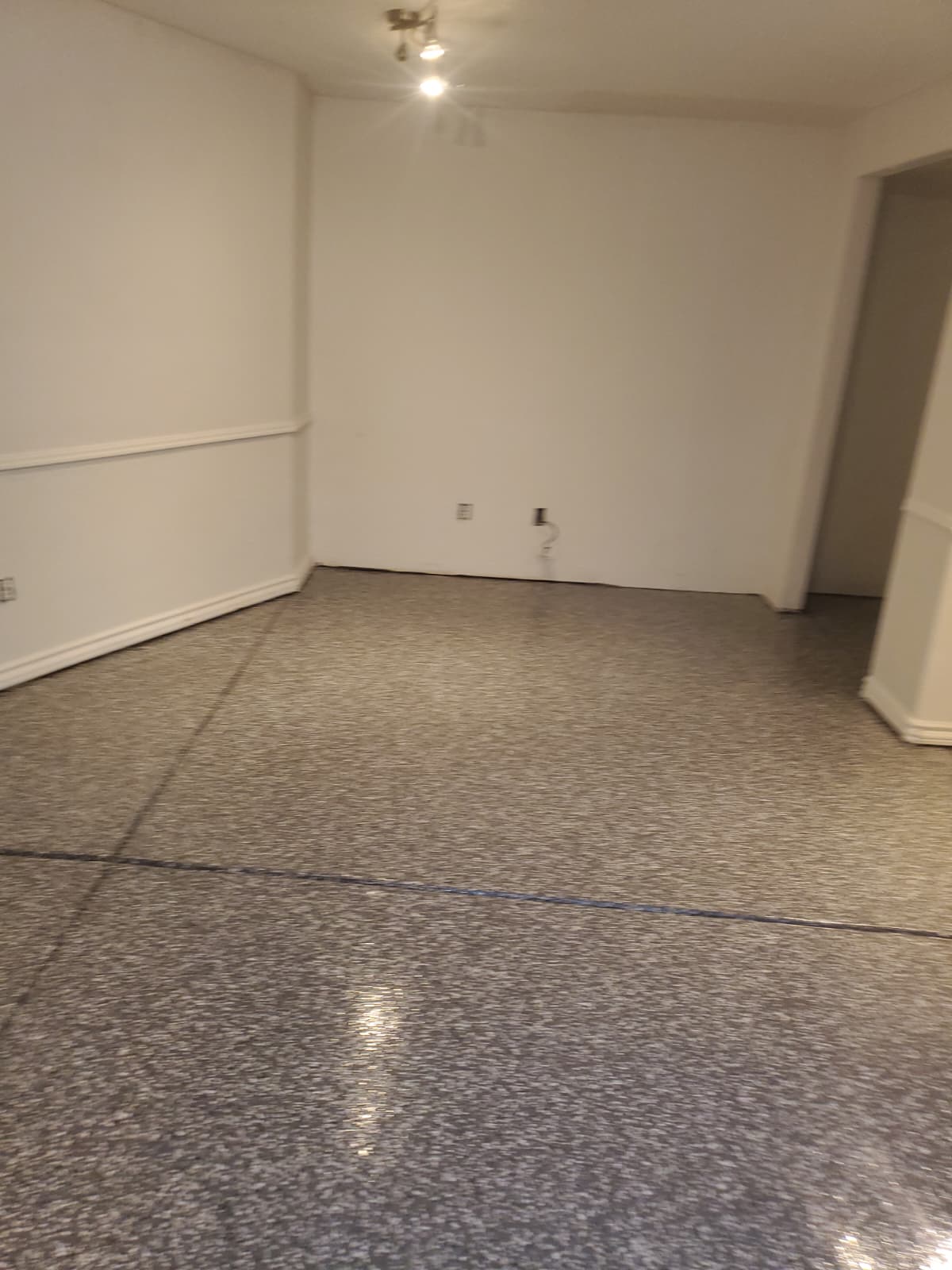 WhatsApp Image 2026-02-14 at 3.36.47 PM (1)