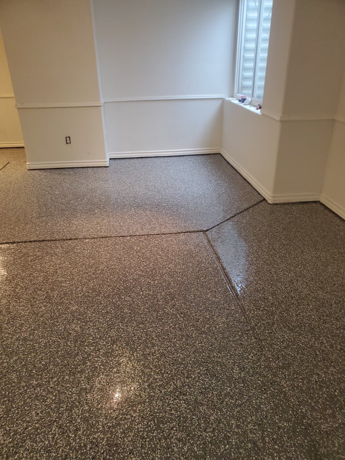 WhatsApp Image 2026-02-14 at 3.36.47 PM