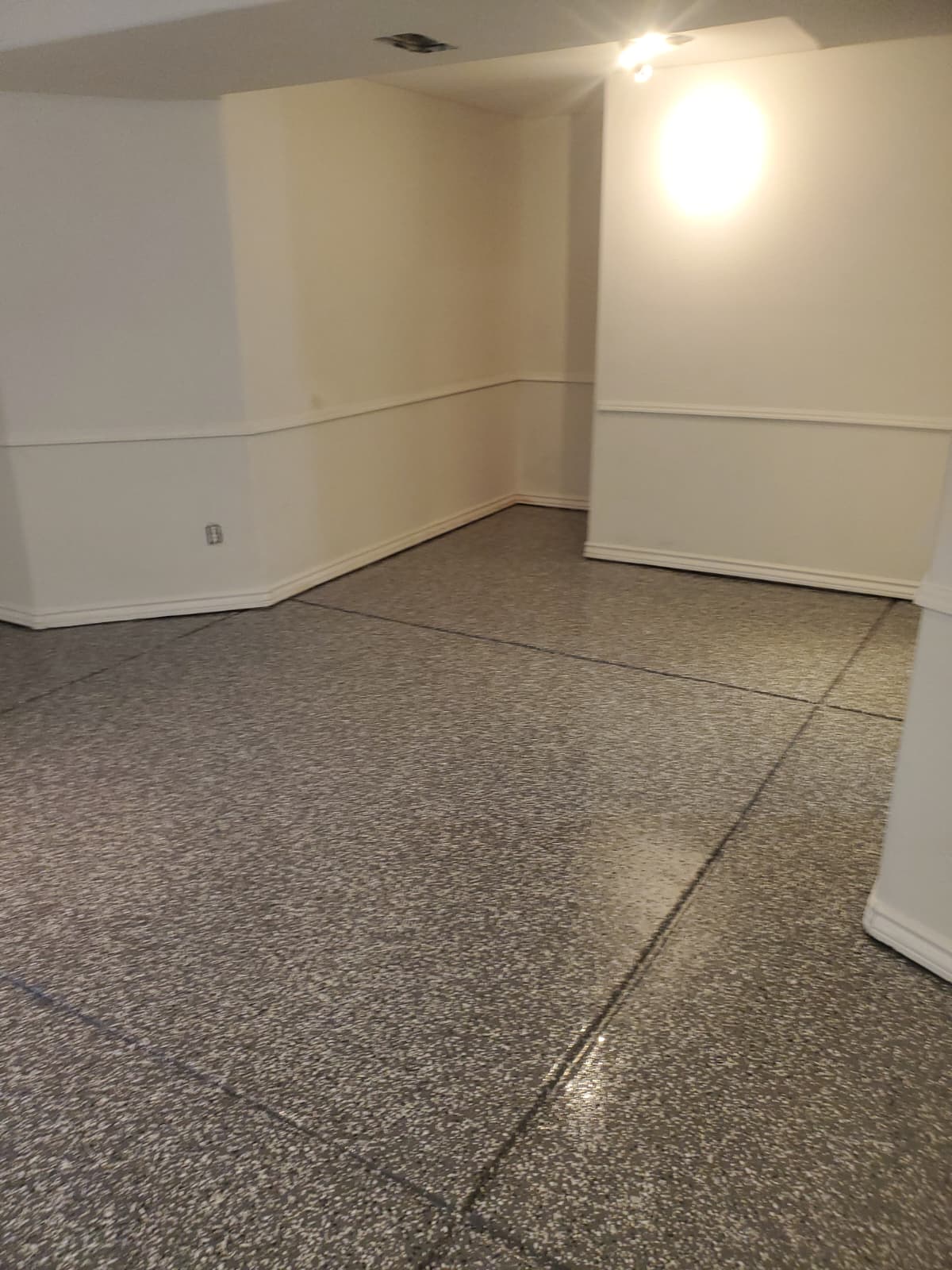 WhatsApp Image 2026-02-14 at 3.36.47 PM (3)