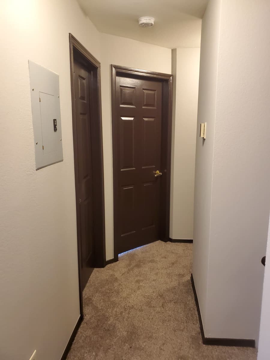 WhatsApp Image 2026-02-14 at 3.36.48 PM